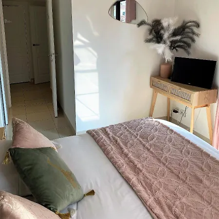 דירה T2 Proche De La Gare, A 10 Minutes A Pieds De La Croisette, Piscine & Parking Dans De Standing *