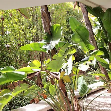 דירה T2 Proche De La Gare, A 10 Minutes A Pieds De La Croisette, Piscine & Parking Dans De Standing *